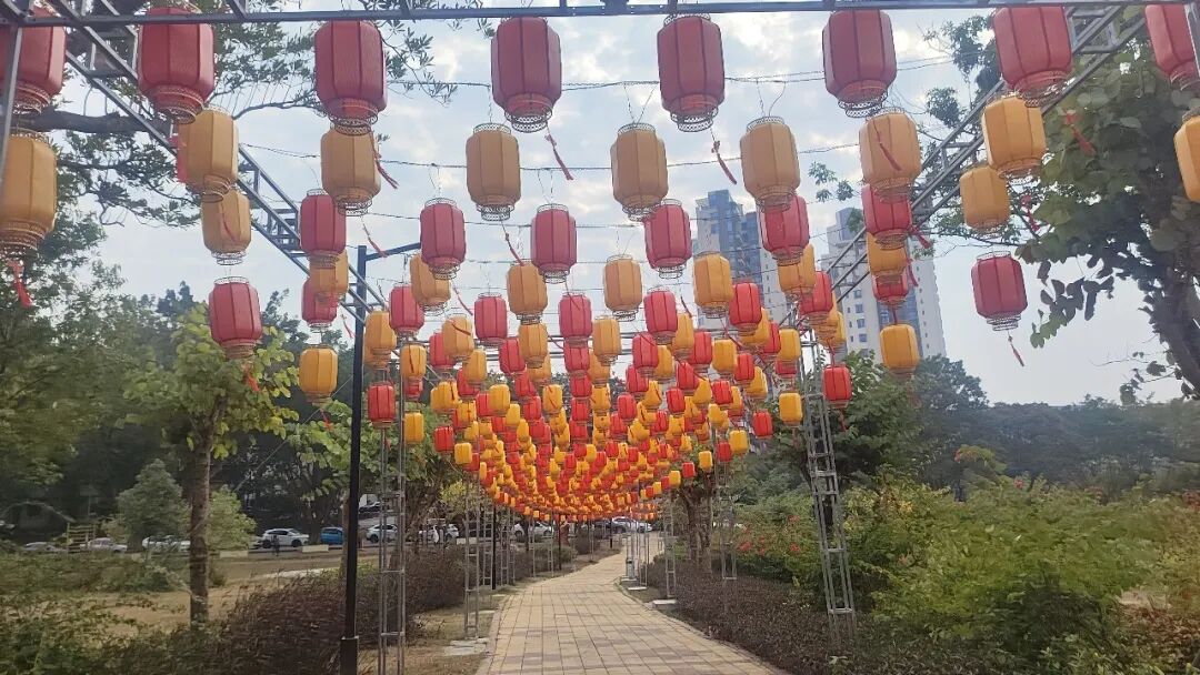 ������ͼ